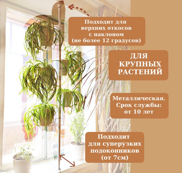 распорка для больших цветов на окно. Фото N2