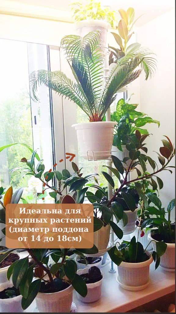распорка для больших цветов на окно. Фото N6