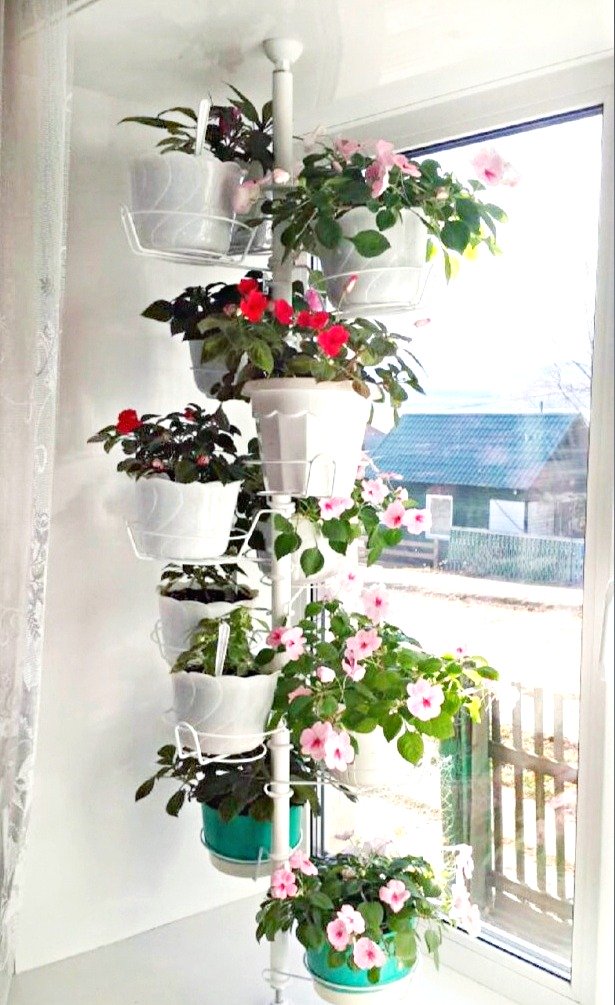 распорка металлическая для растений на окно. Фото N7