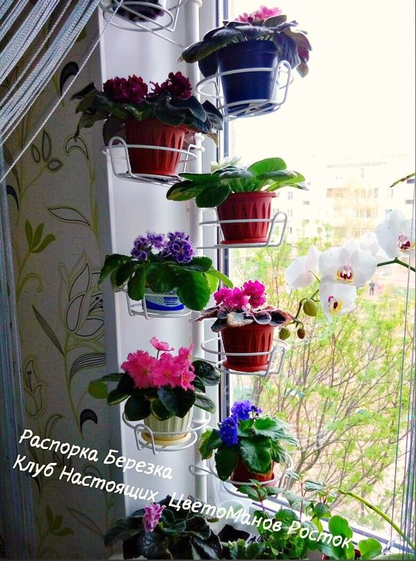 распорка металлическая для растений на окно. Фото N3